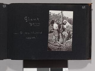 Go to image 61.