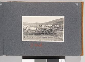 Go to image 51.