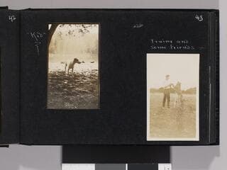 Go to image 45.