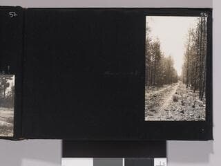 Go to image 55.