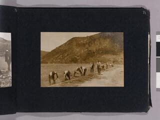 Go to image 73.