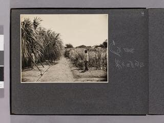 Go to image 6.
