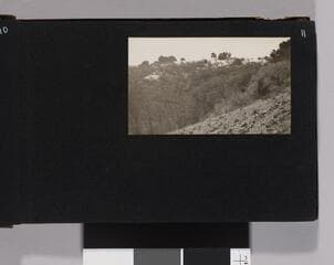 Go to image 13.