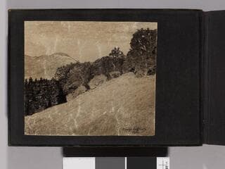 Go to image 2.
