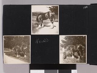Go to image 102.