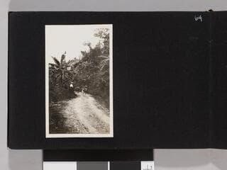 Go to image 66.