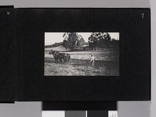 Go to image 9.