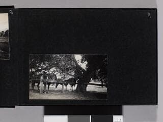 Go to image 11.