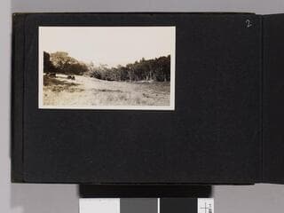 Go to image 4.