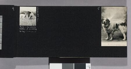 Go to image 7.