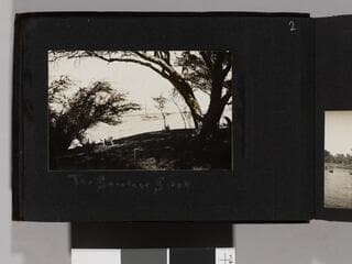 Go to image 4.