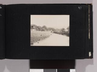 Go to image 49.