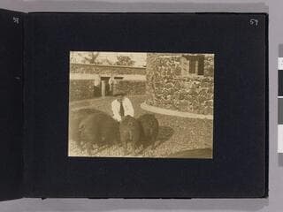 Go to image 61.