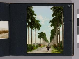 Go to image 45.