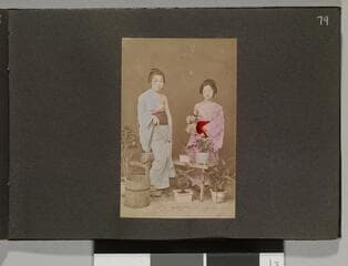 Go to image 81.