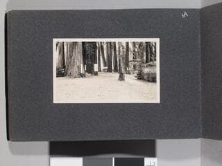 Go to image 66.