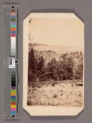 Go to image 1.