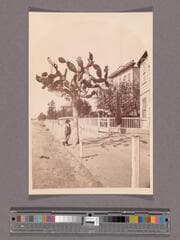 Go to image 1.