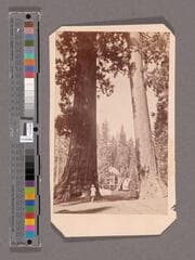 Go to image 1.