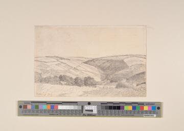 Wiltshire Downs