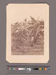 Go to image 1.
