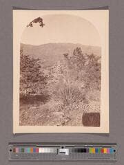 Go to image 1.