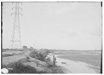 Distribution Lines