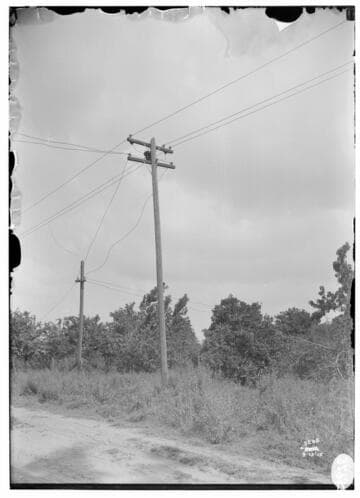 Distribution Lines