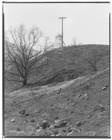 Distribution Lines