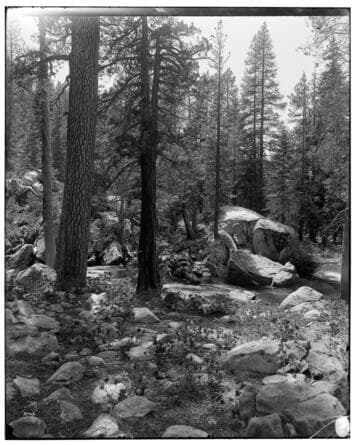 Big Creek Scenery