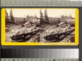 Go to image 1.