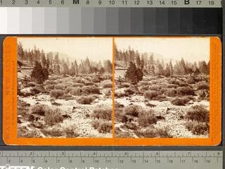 Go to image 1.