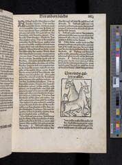 Go to image 223.