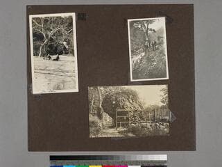 Go to image 14.