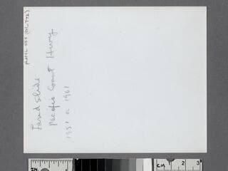 Go to image 2.