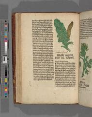 Go to image 90.