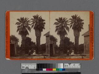 Go to image 1.