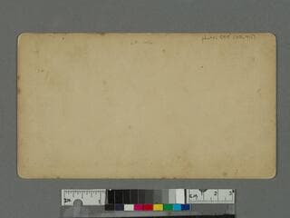 Go to image 2.