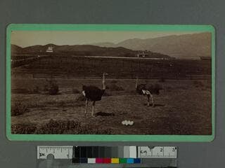 Go to image 1.