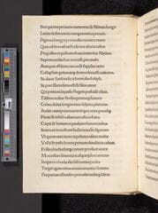 Go to image 10.