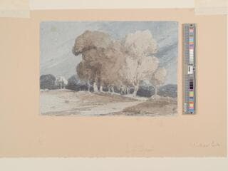 Go to image 1.