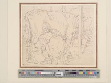 Boy Milking a Cow