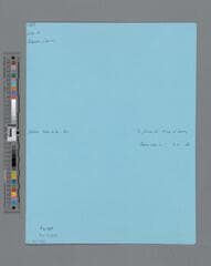 Go to image 9.