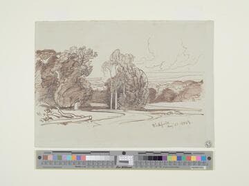 Blithfield