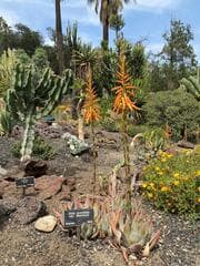 Go to image 8.