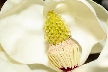 Go to image 2.