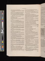 Go to image 250.