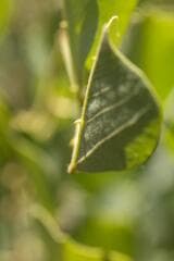 Go to image 1.