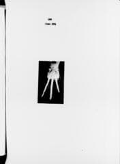 Go to image 161.