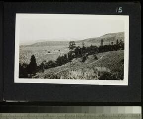 Go to image 17.